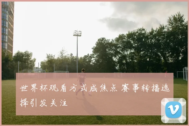 世界杯观看方式成焦点 赛事转播选择引发关注