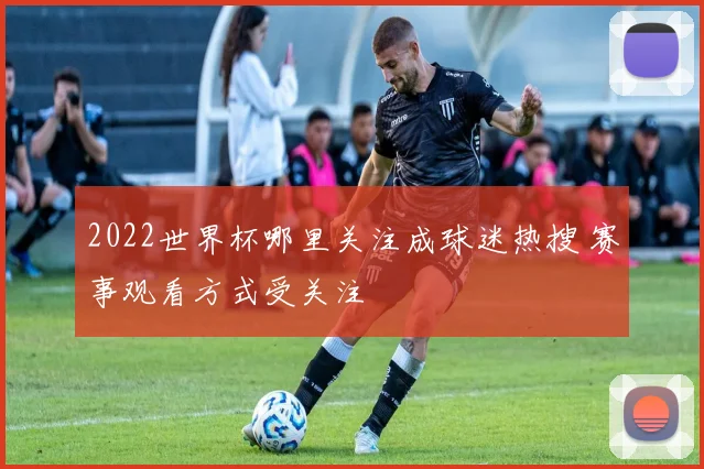 2022世界杯哪里关注成球迷热搜 赛事观看方式受关注
