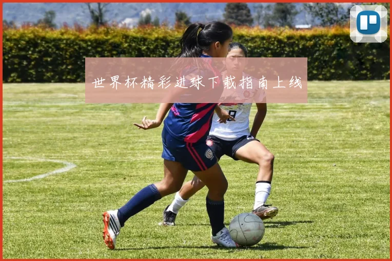 世界杯精彩进球下载指南上线