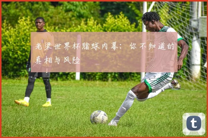 老梁世界杯赌球内幕：你不知道的真相与风险