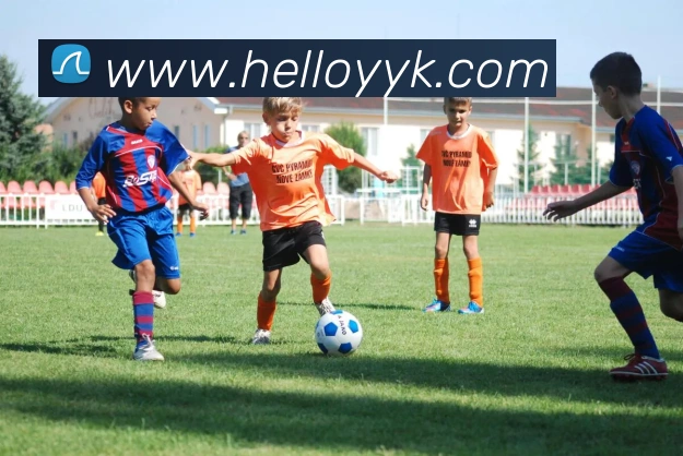 kaiyun入口平台生态图