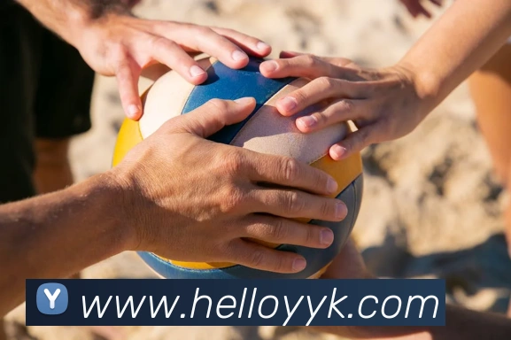 kaiyun入口APP 封面图